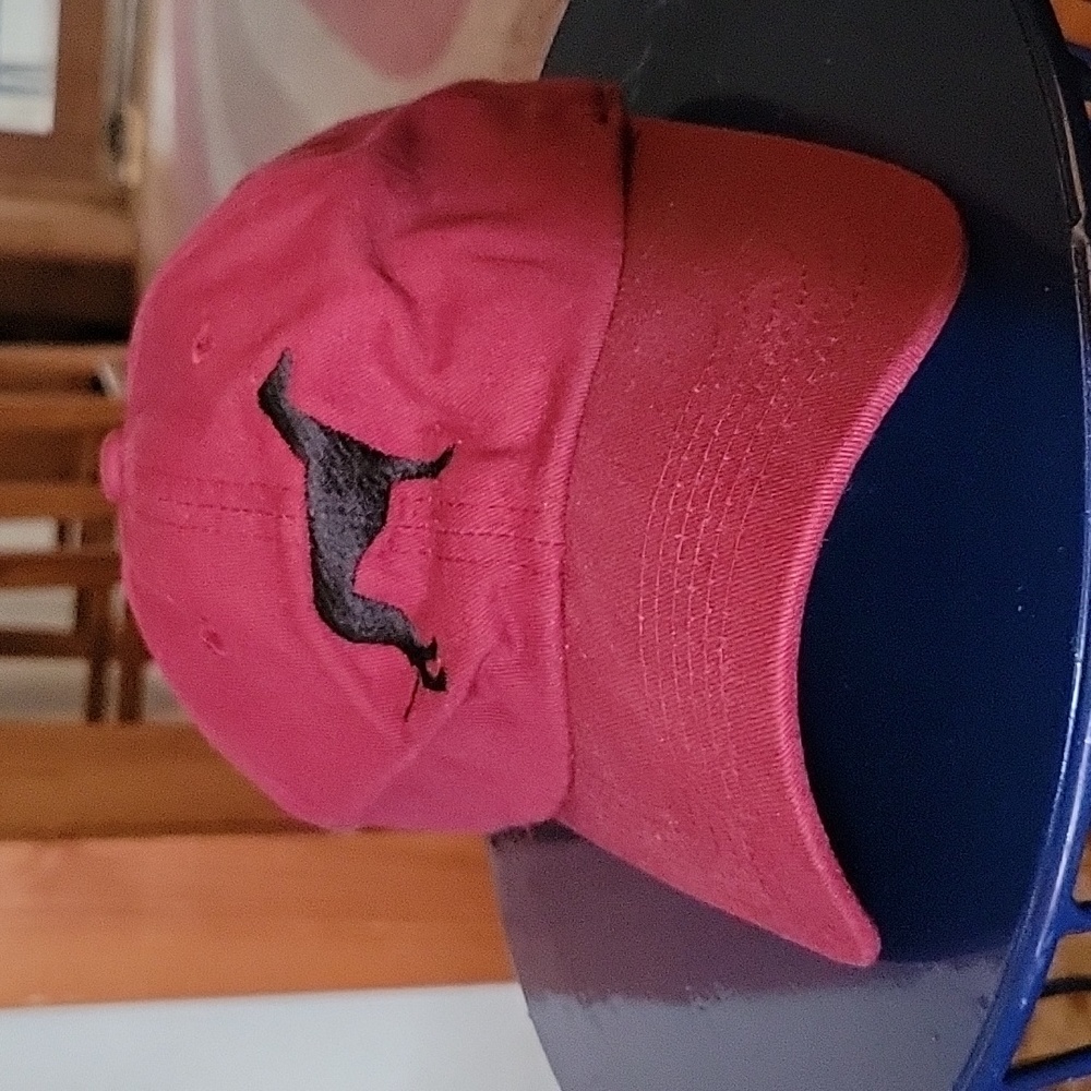 Greyhound Dog Hat